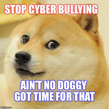 Doge Meme Imgflip