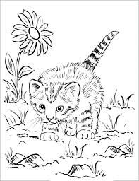 Kitty Coloring Page Kittens Coloring Cat Coloring Page Farm Animal Coloring Pages