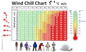 Army Wind Chill Chart Related Keywords Suggestions Army