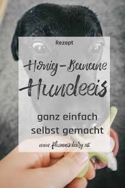 Honig Banane Eis Fur Den Hund Rezept Fur Hundeeis Auf Flummi S Diary Eis Fur Hunde Hunde Kekse Rezept Eis Rezepte