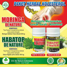 Pin Di Obat Darah Tinggi Yang Bagus Di Apotik Alami