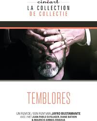 Following ixcanul, filmmaker and screenwriter jayro bustamante again asserts his talent with a brave film about a family man torn between his love for his family. Bol Com Temblores Dvd Dvd S