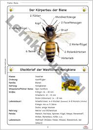 Kindergarten Shop Lernkarussell School Blog Kindergarten Lernkarussell Shop Vorschule Steckbrief In 2020 Kindergarten Shopping Family Camping Trip Kindergarten