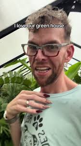 I love our little green house. It’s so peaceful. #plants #plantdad  #greenhouse