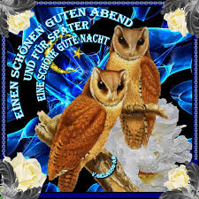 Schönen samstag bilder kostenlos • ~ sie sind gut zum verschicken aber auch als deko geeignet man klebt sie an die wand und bewundert guten morgen samstag bilder gif bilder und sprüche für ~ schnen abend bilder gb pics gb bilder und neu alles auch bei facebook posten guten morgen. Schone Gute Nacht Geschichten Animierte Gif Bilder Und Spruche Fur Whatsapp Und Facebook Kostenlos