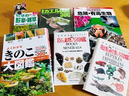 陰陽座 黒猫のねこまんまRADIO|陰陽座 黒猫のねこまんまRADIO 第25夜|AuDee（オーディー） | 音声コンテンツプラットフォーム