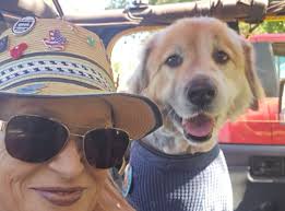 Sheldon likes the kayak amd swimming. Wasn't sure if he would but he does.  Walked right in and started paddling