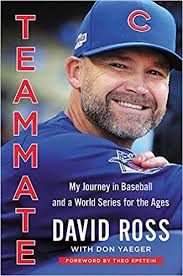 Gregg's Baseball Bookcase