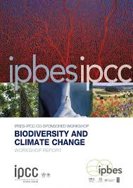 The intergovernmental panel on climate change (ipcc) is the leading international body for the assessment of climate change. Ipbes Ipcc Tackling The Biodiversity And Cli Eurekalert