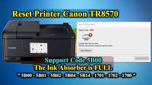 Find the right driver for your canon pixma printer. Canon Code 1700 Canon Ip2870 Waste Ink Absorber Reset Counter Ic L16 1 Pack 2 Ic Shopee Malaysia If You Continue To Use The Printer Without Replacing T Problemdevie