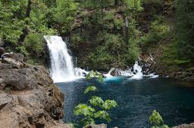 Check spelling or type a new query. Tamolitch Blue Pool Mckenzie River Trail Home Facebook
