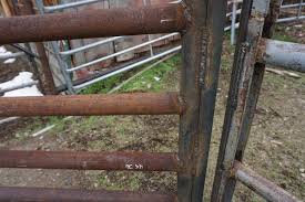 Check spelling or type a new query. How To Build Durable Pipe Corrals Countryside