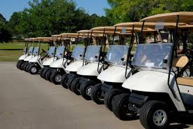 Electric Golf Carts Buggies Buying Guide