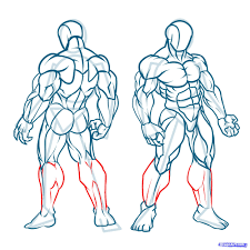 How to draw anime guys body with muscle. Muscular Body Drawing Reference Novocom Top