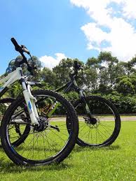 A world away from urban hong kong, the nam sang wai landscape is dominated by abandoned farms, fish ponds, and lush greenery. Bike Rental At Fitness Centre Picture Of Hyatt Regency Hong Kong Sha Tin Tripadvisor