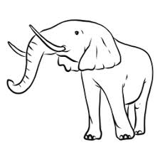 Free Free 77 Elephant Ear Svg SVG PNG EPS DXF File