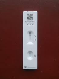 Lateral flow tests are widely used in human health for point of care testing. Covid 19 Testing Wikipedia