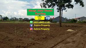 Setelah mencantumkan identitas lengkap penjual (pihak pertama) dan pembeli (pihak kedua), alamat lengkap dan posisi lahan yang tepat juga perlu untuk dijabarkan. Harga Jual Tanah Kavling Hp Wa 0853 9993 3335 Medium