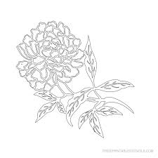 Use your creativity and beautify anything. Printable Flower Stencils