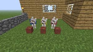 Flower Pots Can Be Used As Bowls With Food For Dogs Imgur In 2020 Flower Pots Dog Food Recipes Canning
