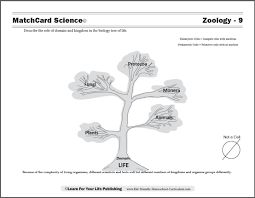 Biology Tree Of Life Worksheets Biology Time Worksheets