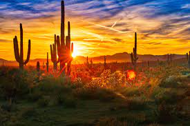 See more ideas about sunset, outdoor, celestial. Best Places To Watch A Sunset In Phoenix Parks Gardens
