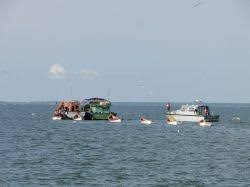 Resultado de imagem para pesca rs