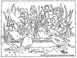You can colour each one in a different colour if you like! Daffodils Birds Birdbath Pen And Ink Drawing Coloring Page Etsy