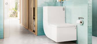 basin and toilet in one single piece