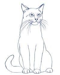 Tutorial de dibujo de un conejito para niños. Como Dibujar Un Gato Facil Realista Paso A Paso Dibucorp