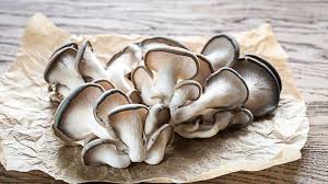 The best variety for home growing is oyster mushrooms, though you can use any type.store bought mushroom propagation is quite easy, but you should choose fungi from organic sources. What You Need To Know Before Growing Mushrooms At Home
