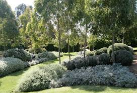 Formal Country Australian Native Garden Australian Garden Australian Garden Design