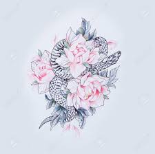 Where to watch flower & snake. Sketch Of A Snake In Beautiful Red Flowers On A White Background Stock Photo Picture And Royalty Free Image Image 91658743