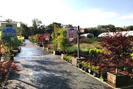 Check back periodically as we are always adding more products and options. Flower Fix Where To Find Flowers Plants In Nashville