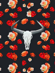 Hand drawn buffalo skull with feather. Cow Skull Wallpapers Top Free Cow Skull Backgrounds Wallpaperaccess
