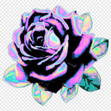 Aesthetics wallpaper flowers tulip purple blooming mood stock image image of season beautiful 188294823 lilac aesthetic japan wallpapers wallpaper cave purple rose aesthetic wallpapers on wallpaperdog. Organism Hologram Purple Violet Holo Png Pngwing