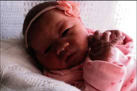 The latest Announcements News, Stories, and Articles