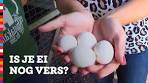 Video Is mijn ei nog vers? Een simpele test | Voedingscentrum - YouTube