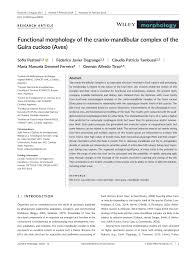 În plus, graţie fostului meu profesor, aurel tănăsescu, căruia, in memoriam, îi aduc un omagiu, ştiu gramatica bine, încât aş fi un candidat redutabil la un concurs. Pdf Functional Morphology Of The Cranio Mandibular Complex Of The Guira Cuckoo Aves