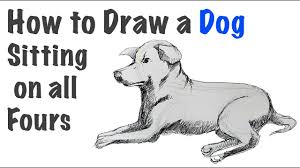 538 x 700 jpeg 110 кб. Dog Sitting On All Fours Drawing Tutorial Youtube