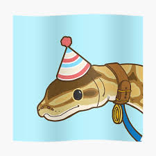 1 background 1.1 development 1.2 personality 1.3 physical appearance 1.4 abilities 2. Cute Birthday Snake Sticker By Aturius Redbubble