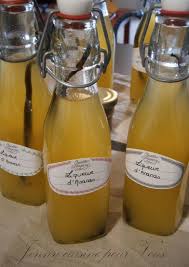 Liqueur D Ananas Homemade Drinks Cocktail Liqueur Drinks