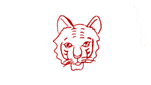Maybe you would like to learn more about one of these? How To Draw Tiger Easily In 5 Steps For Beginners The Soft Roots
