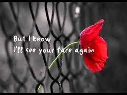 Pin By Mara Este Funkova On Music Poppies Red Poppies Bloom Where Youre Planted