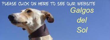 Check spelling or type a new query. Can You Spare 7 To Buy Us A Pipette Of Frontline To Protect A Dog Or A Pup Against Fleas For A Month Please
