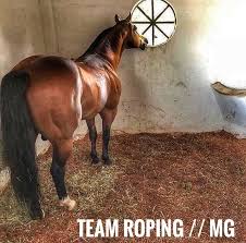 Here are top 10 cowboy coloring sheets: Team Roping Mg Home Facebook