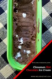 Cinnamon Hot Chocolate Ice Cream Recipe Inspired By The Cabin At The End Of The World A Well Read Tart Recipe Cinnamon Hot Chocolate Hot Chocolate Ice Cream Chocolate Ice Cream