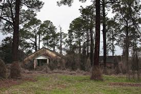 Watch Deadly Secrets: The Lost Children Of Dozier, Season 1 | Prime Video