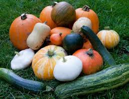 Tender, versatile zucchini fresh from the garden can be paired with a range of foods for a tasty meal. 16 Vegetable Gardening Nc State Extension Publications