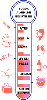 Soguk Alginligi Belirtileri